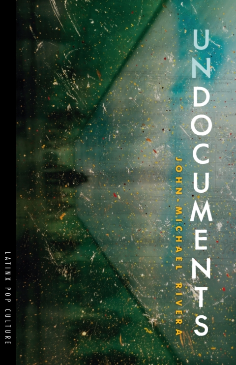 Cover image for book Undocuments