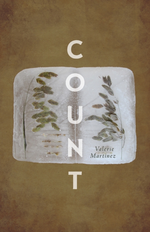 Cover image for book Count