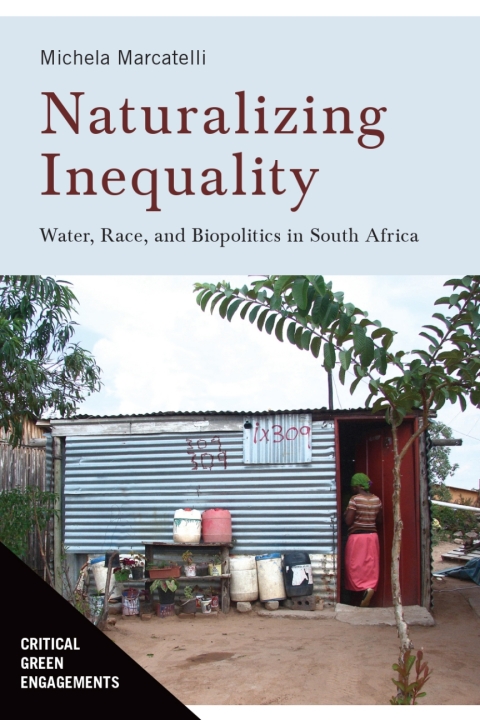 Cover image for book Naturalizing Inequality
