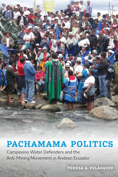 Cover image for book Pachamama Politics