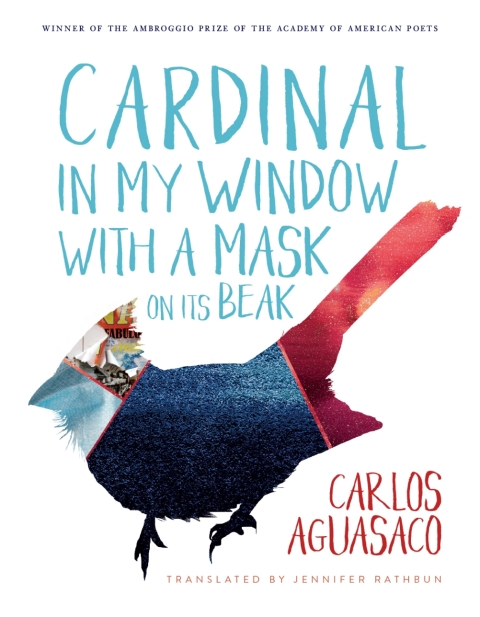 Cover image for book Cardinal in My Window with a Mask on Its Beak