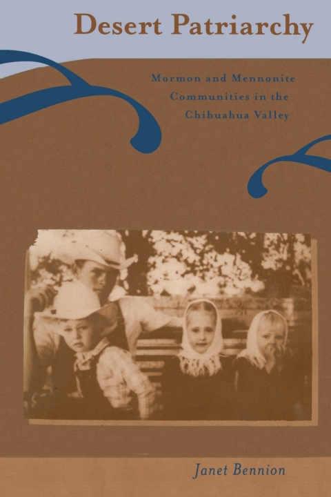 Cover image for book Desert Patriarchy
