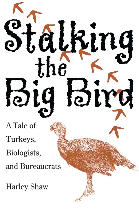 Cover image for book Stalking the Big Bird