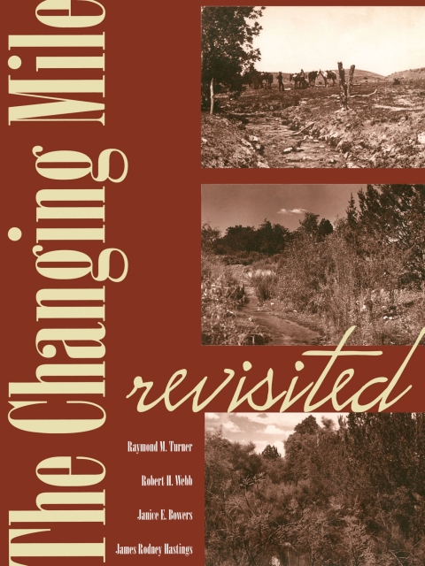 Cover image for book The Changing Mile Revisited
