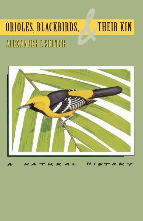 Cover image for book Orioles, Blackbirds, and Their Kin