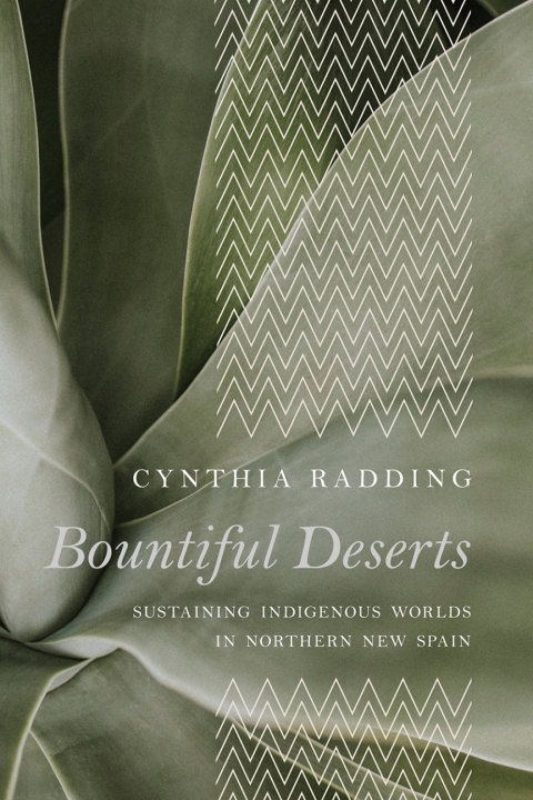 Cover image for book Bountiful Deserts