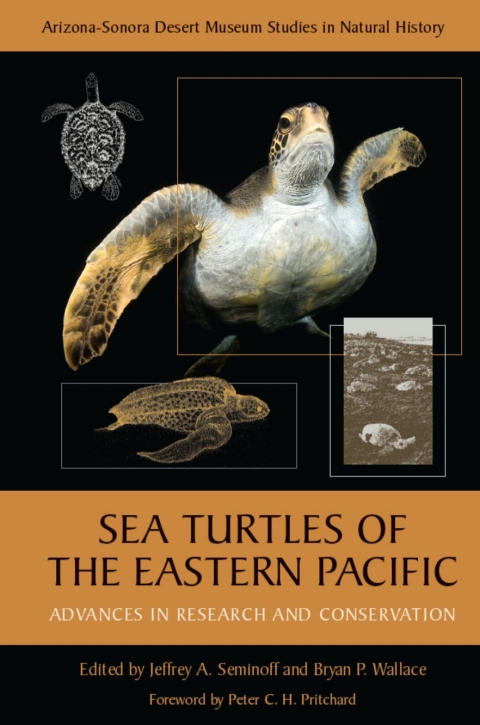 Cover image for book Sea Turtles of the Eastern Pacific