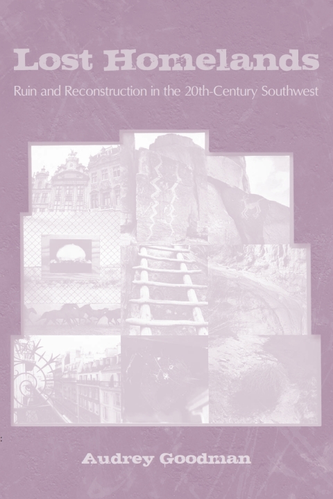 Cover image for book Lost Homelands