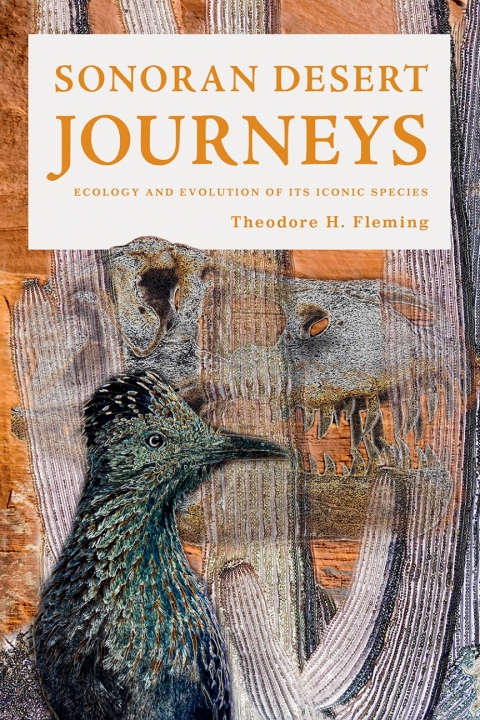 Cover image for book Sonoran Desert Journeys