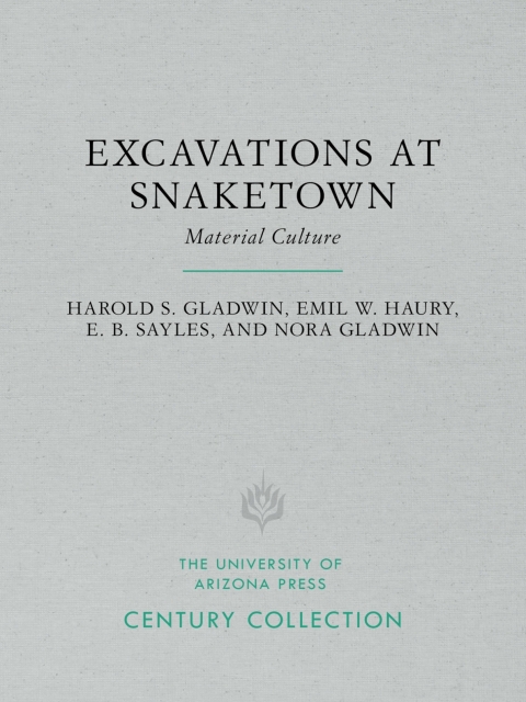 Cover image for book Excavations at Snaketown