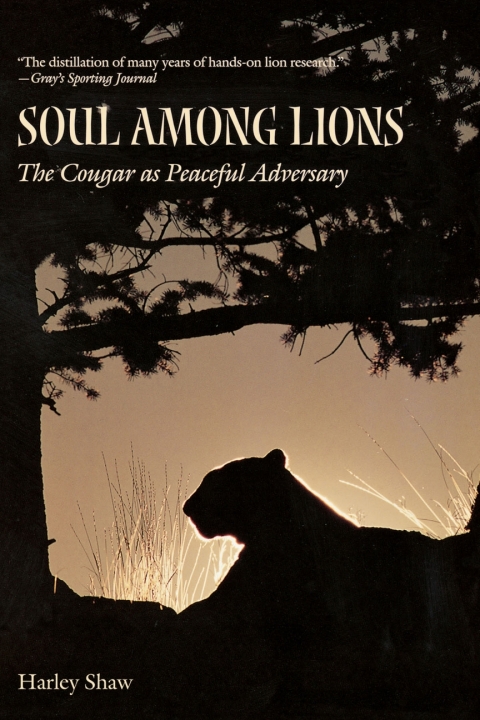 Cover image for book Soul among Lions