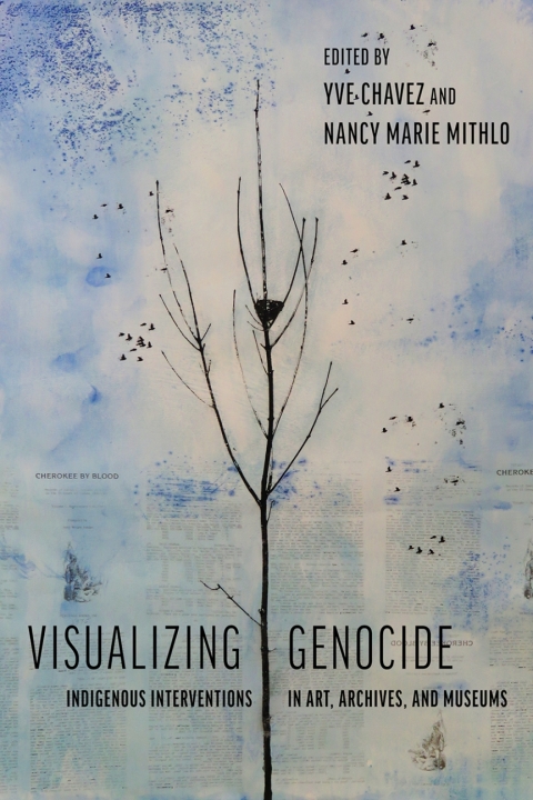 Cover image for book Visualizing Genocide