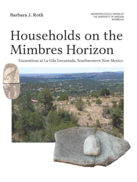 Cover image for book Households on the Mimbres Horizon
