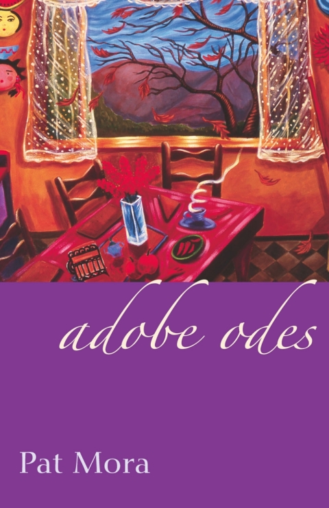 Cover image for book Adobe Odes