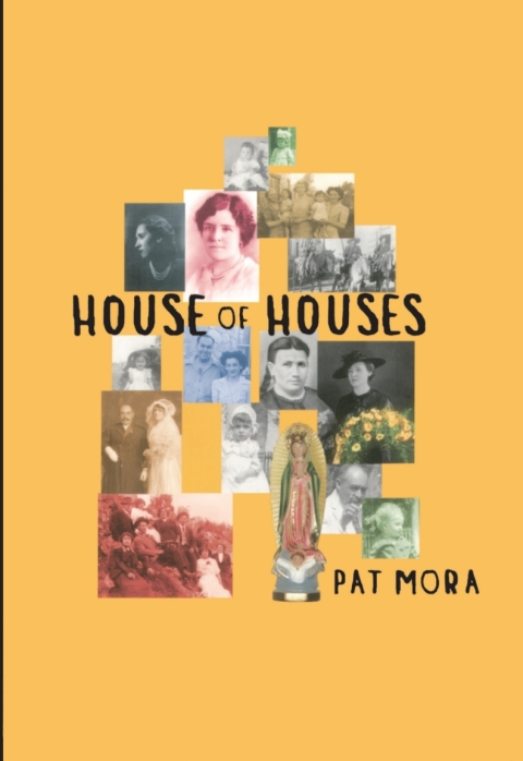 Cover image for book House of Houses