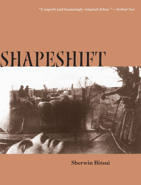 Cover image for book Shapeshift