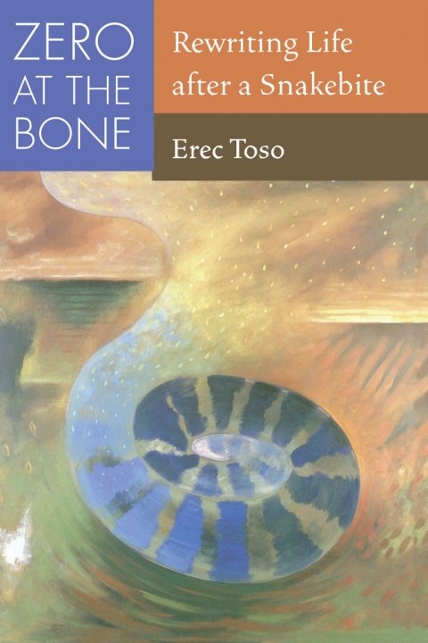 Cover image for book Zero at the Bone