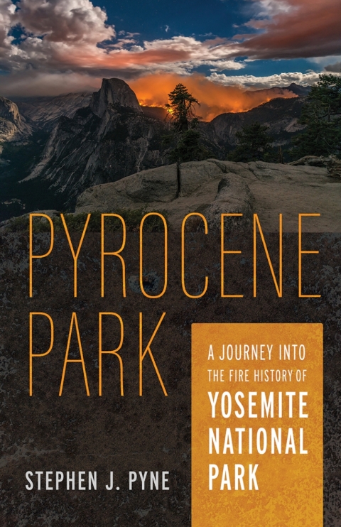 Cover image for book Pyrocene Park