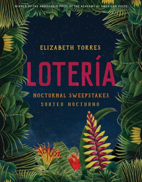 Cover image for book Lotería