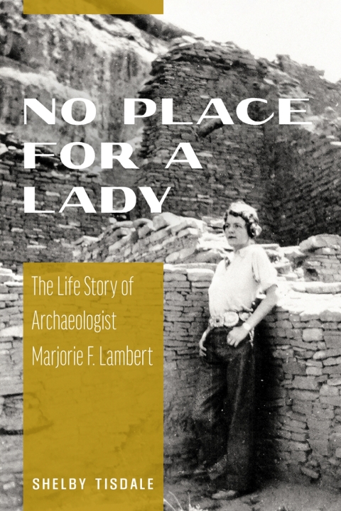 Cover image for book No Place for a Lady
