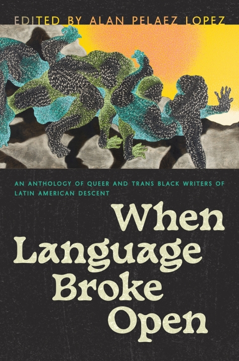 Cover image for book When Language Broke Open