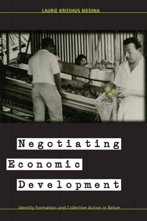 Cover image for book Negotiating Economic Development
