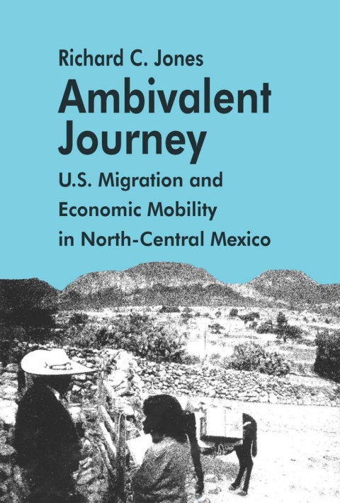 Cover image for book Ambivalent Journey