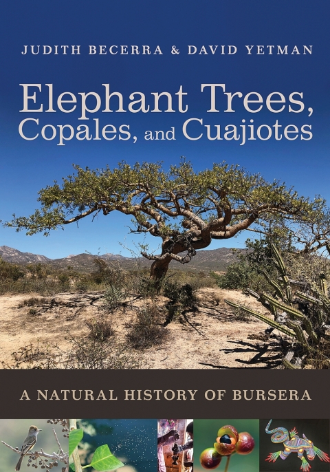 Cover image for book Elephant Trees, Copales, and Cuajiotes