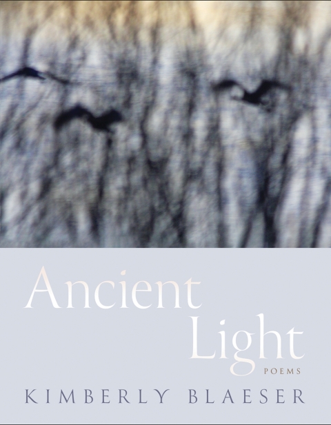 Cover image for book Ancient Light