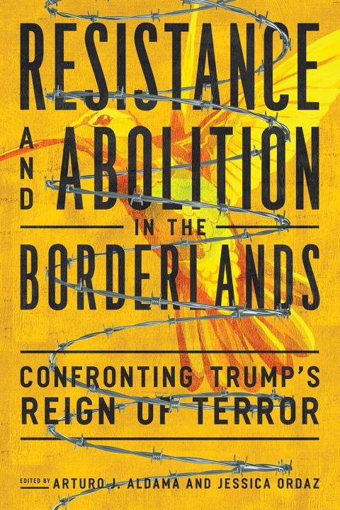 Cover image for book Resistance and Abolition in the Borderlands