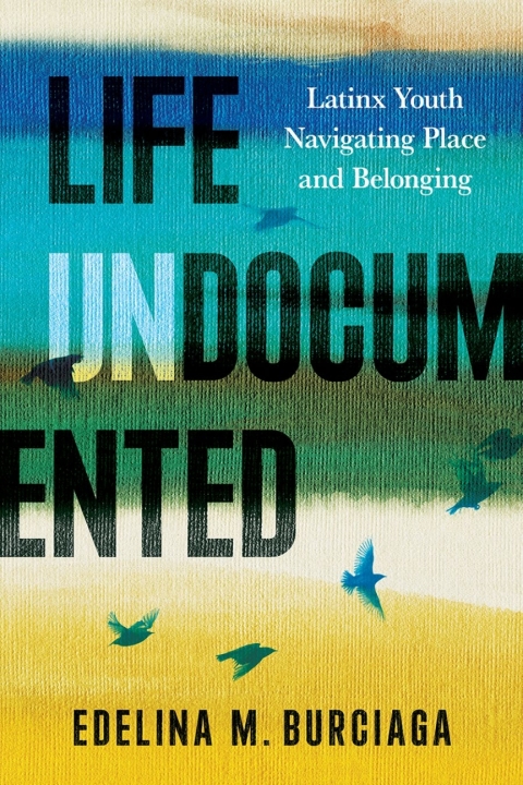 Cover image for book Life Undocumented
