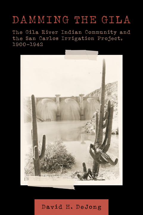 Cover image for book Damming the Gila