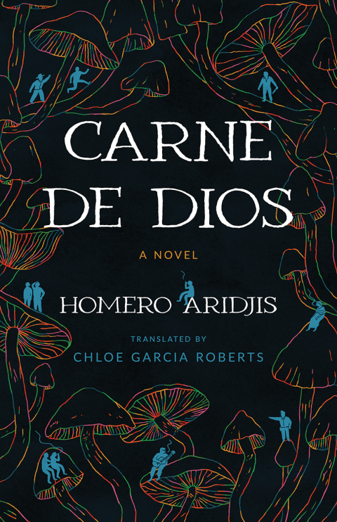 Cover image for book Carne de Dios
