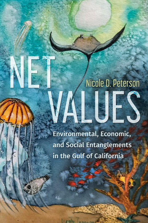 Cover image for book Net Values
