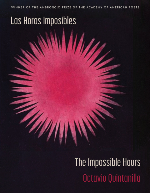 Cover image for book Las Horas Imposibles / The Impossible Hours