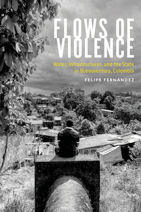 Cover image for book Flows of Violence