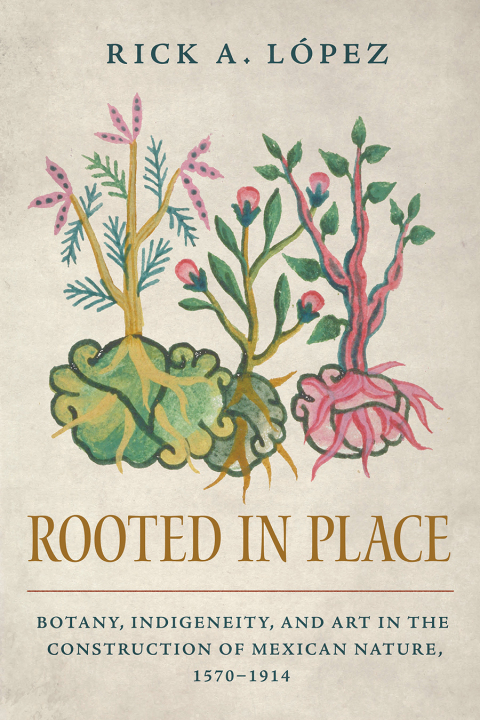 Cover image for book Rooted in Place