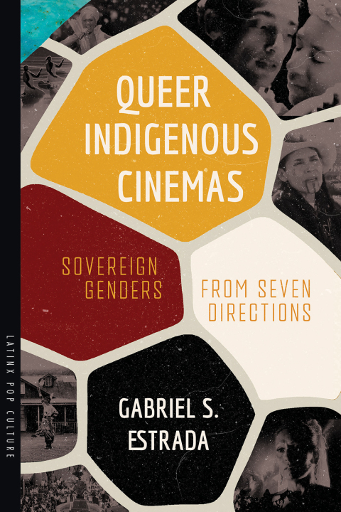Cover image for book Queer Indigenous Cinemas
