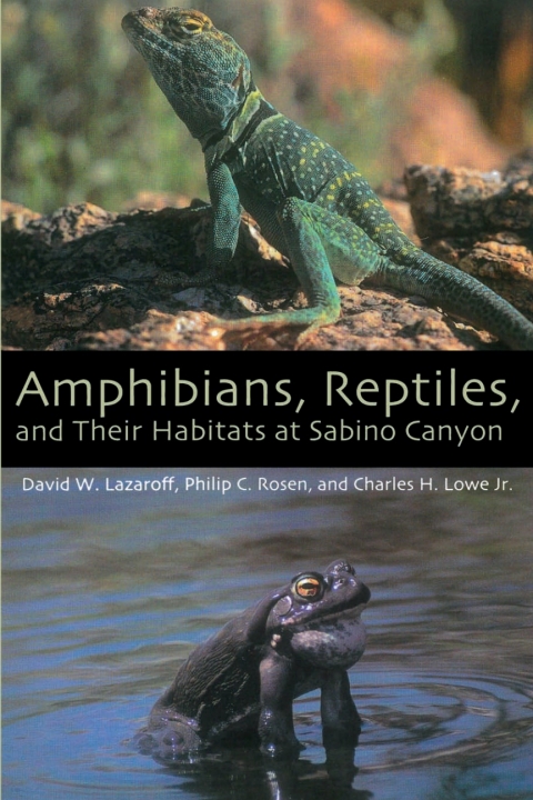 Cover image for book Amphibians, Reptiles, and Their Habitats at Sabino Canyon