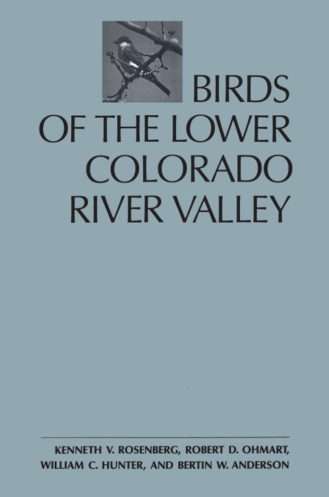 Cover image for book Birds of the Lower Colorado River Valley