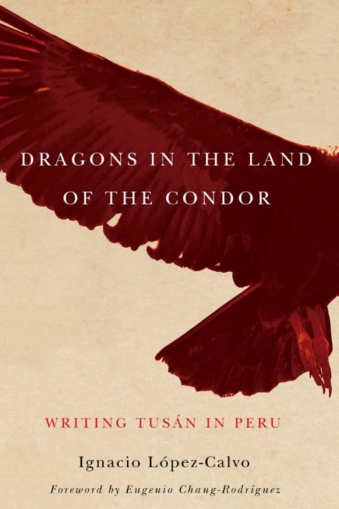 Cover image for book Dragons in the Land of the Condor
