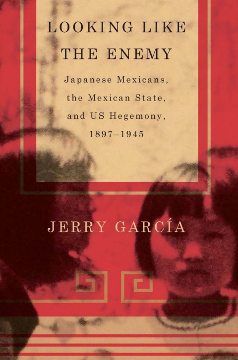 Cover image for book Looking Like the Enemy