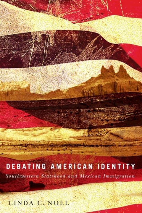 Cover image for book Debating American Identity