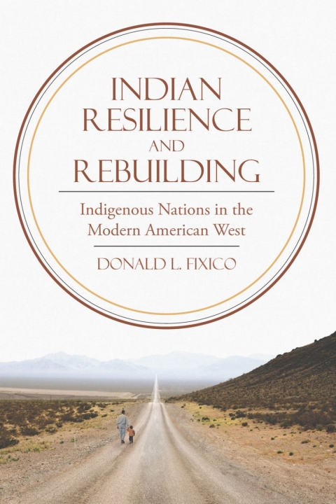 Cover image for book Indian Resilience and Rebuilding