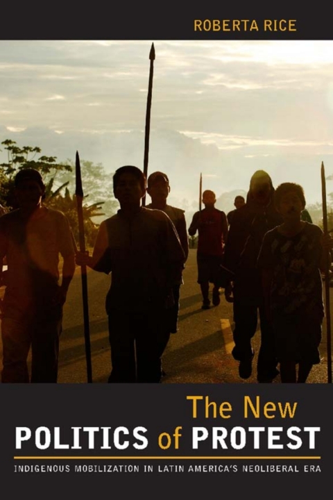 Cover image for book The New Politics of Protest