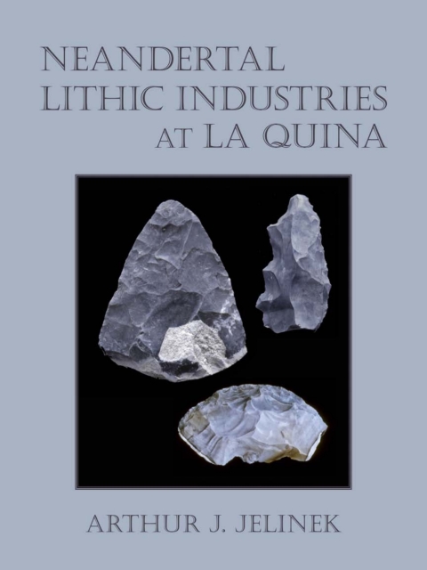 Cover image for book Neandertal Lithic Industries at La Quina