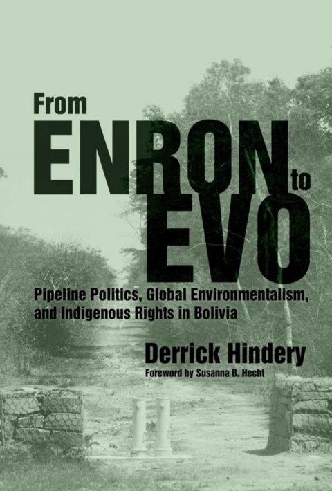 Cover image for book From Enron to Evo