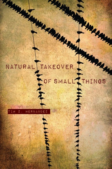 Cover image for book Natural Takeover of Small Things