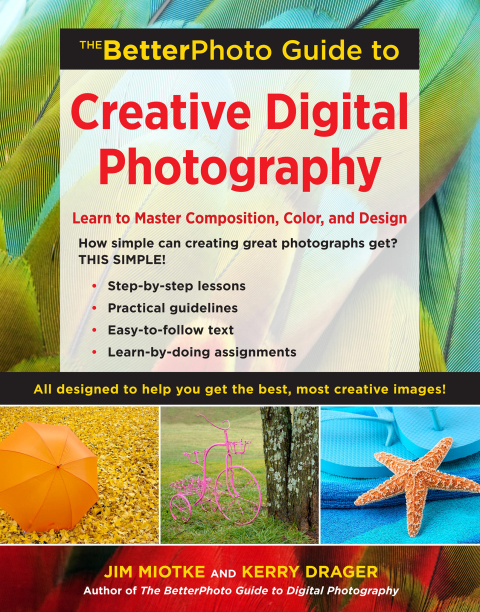 Cover image for book The BetterPhoto Guide to Creative Digital Photography