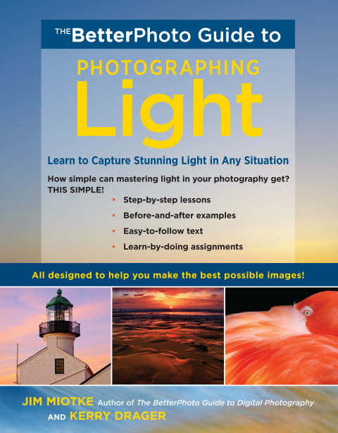 Cover image for book The BetterPhoto Guide to Photographing Light